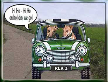 Greyhound Boarding Kennels 